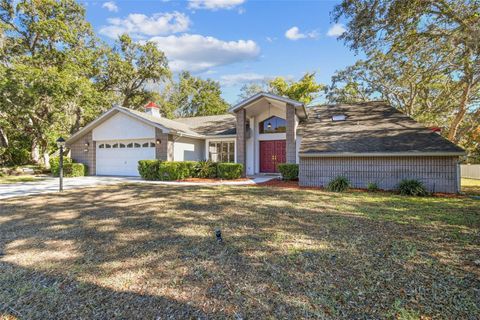 A home in HOMOSASSA