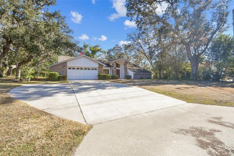 A home in HOMOSASSA