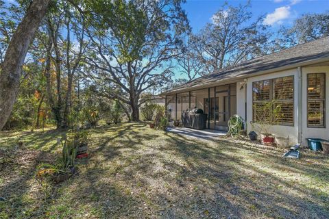 A home in HOMOSASSA