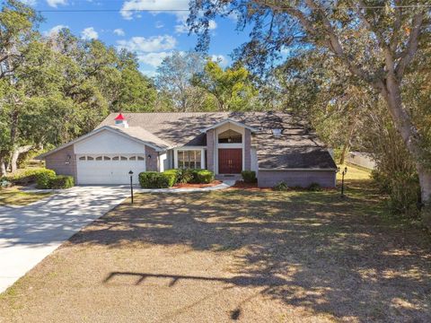 A home in HOMOSASSA