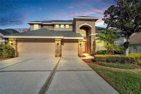 A home in LAND O LAKES