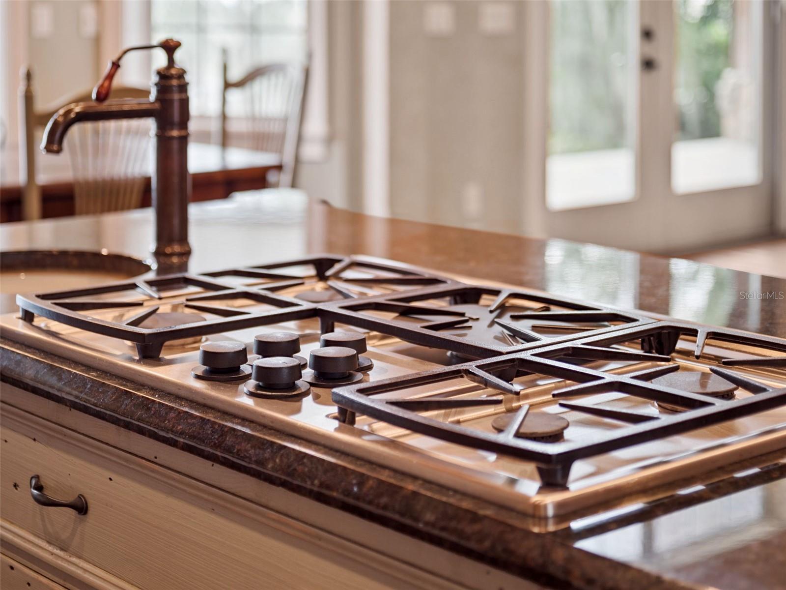 MOUNT DORA CHAUTAUQUA PARK - Residential