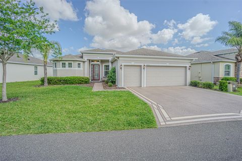 Photo of 29203 Grass Bunker Drive, San Antonio, FL 33576 (MLS # TB8488553)