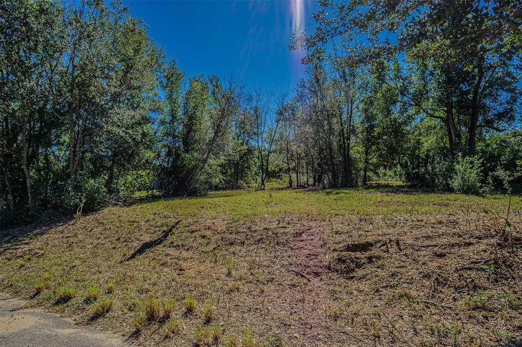 Photo of Trotter Lane, Dade City, FL 33525 (MLS # TB8441755)