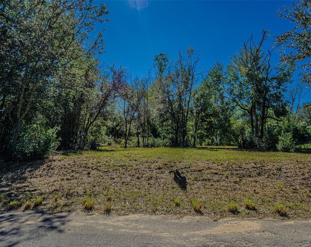 Photo of Trotter Lane, Dade City, FL 33525 (MLS # TB8441755)