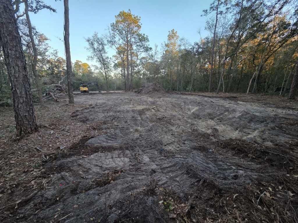 Photo of 129 Seminole Avenue, Interlachen, FL 32148 (MLS # TB8486945)