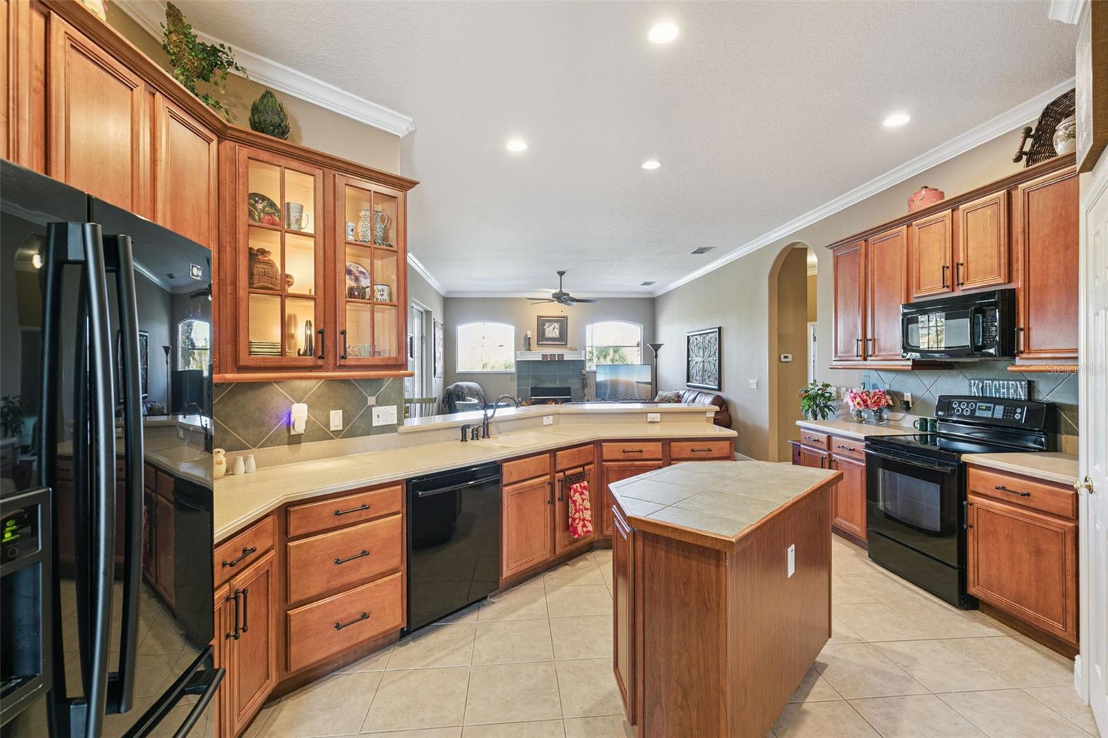 502 WILLOWLAKE COURT