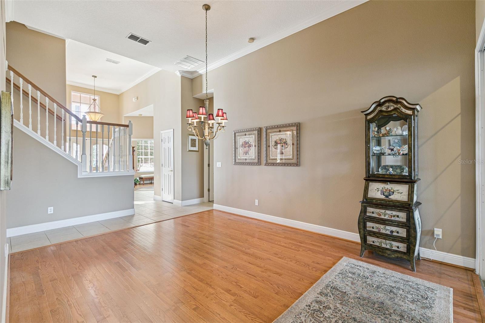 502 WILLOWLAKE COURT