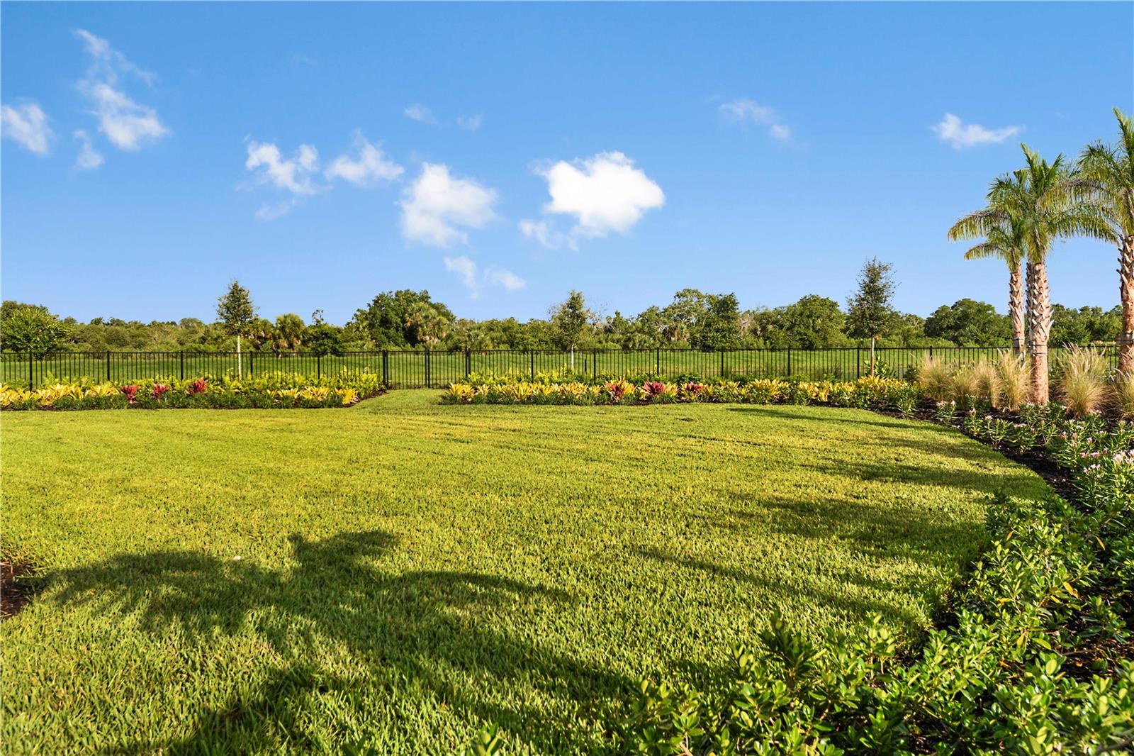 CASSIA AT SKYE RANCH - Residential