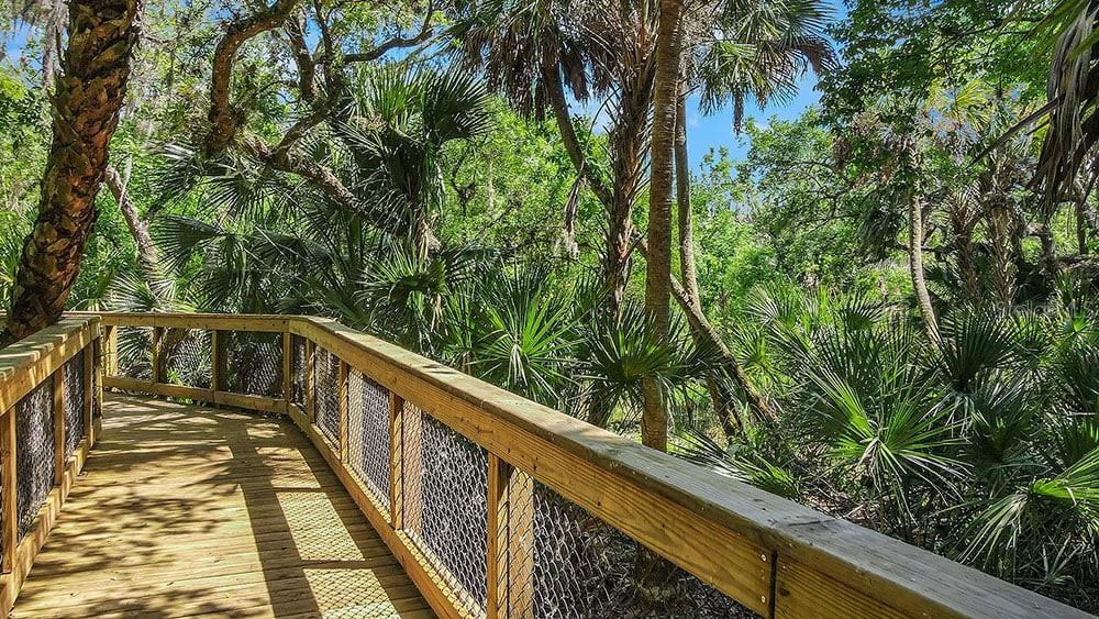 CASSIA AT SKYE RANCH - Residential