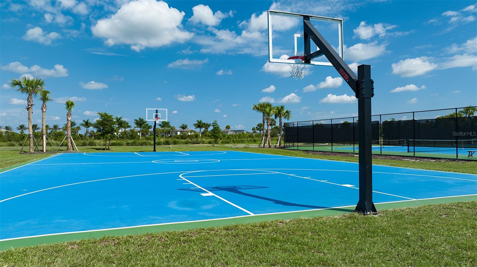 CASSIA AT SKYE RANCH - Residential