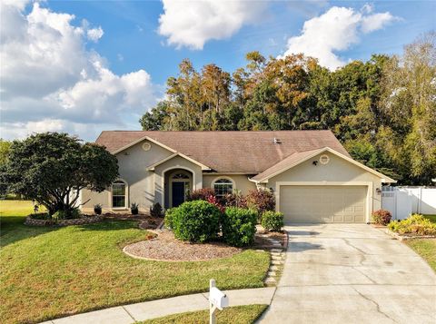 Photo of 26203 Corkwood Court, Land O Lakes, FL 34639 (MLS # TB8451493)
