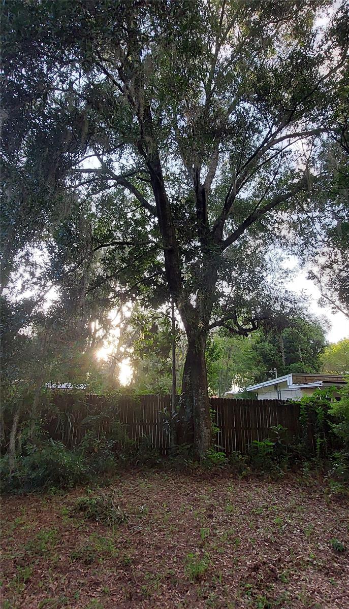 OAK PARK - Residential