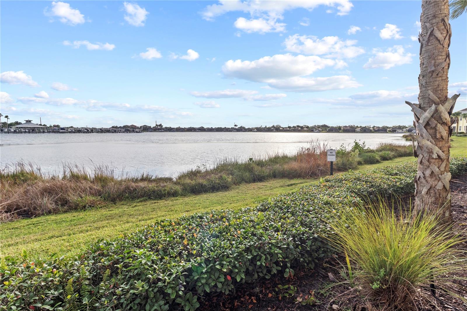 THE LAGOON I AT TIDEWATER PRESERVE - Residential