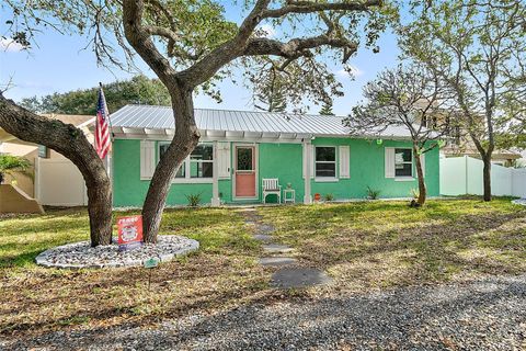 A home in FLAGLER BEACH