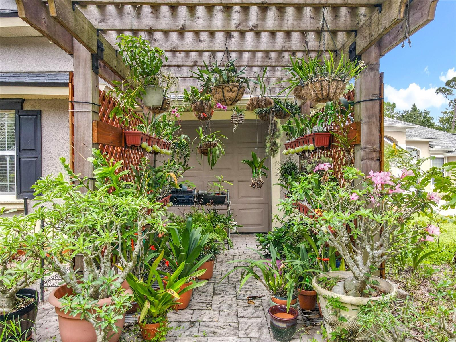 CHESTNUT RIDGE - Residential