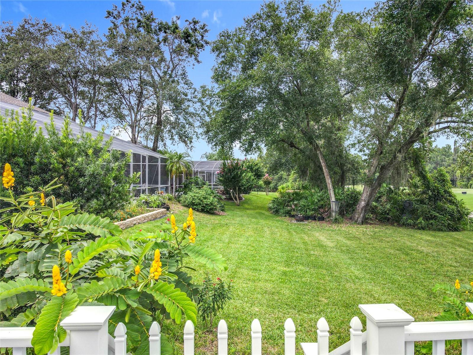 CHESTNUT RIDGE - Residential