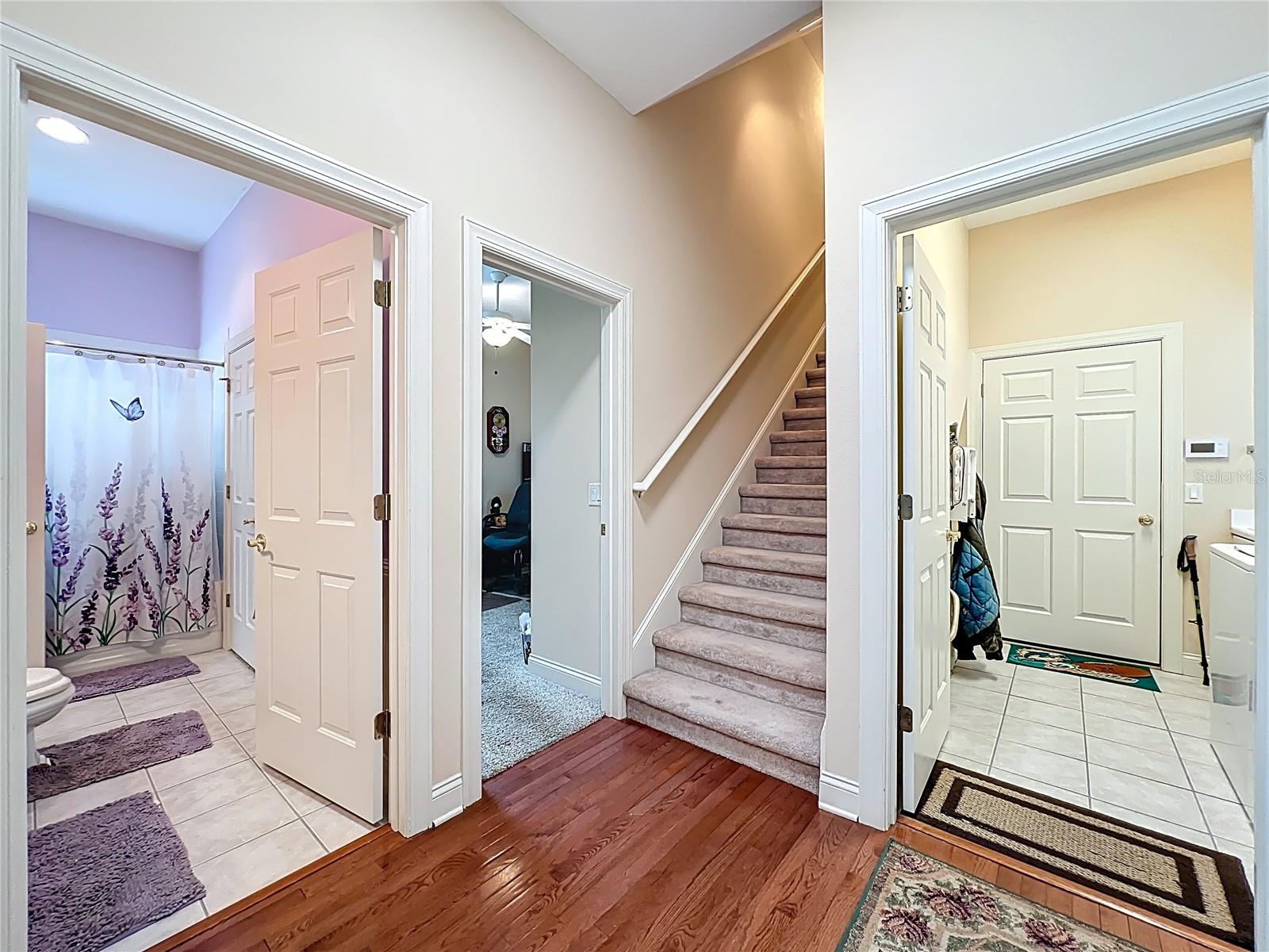 CHESTNUT RIDGE - Residential