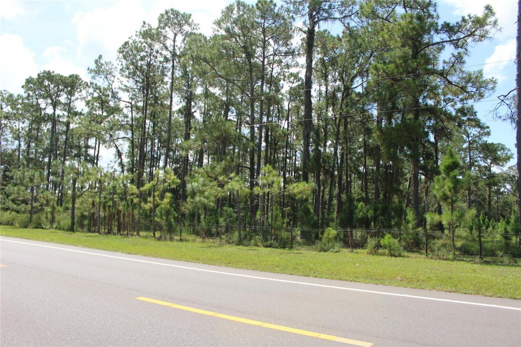 Photo of Us Highway 98 W, Frostproof, FL 33843 (MLS # TB8548917)