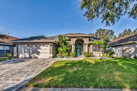 A home in TARPON SPRINGS