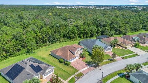 A home in KISSIMMEE