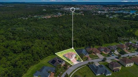 A home in KISSIMMEE