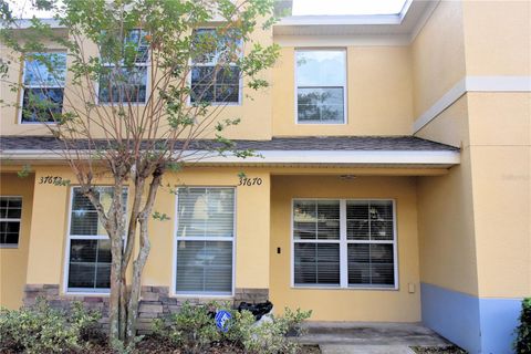 A home in ZEPHYRHILLS