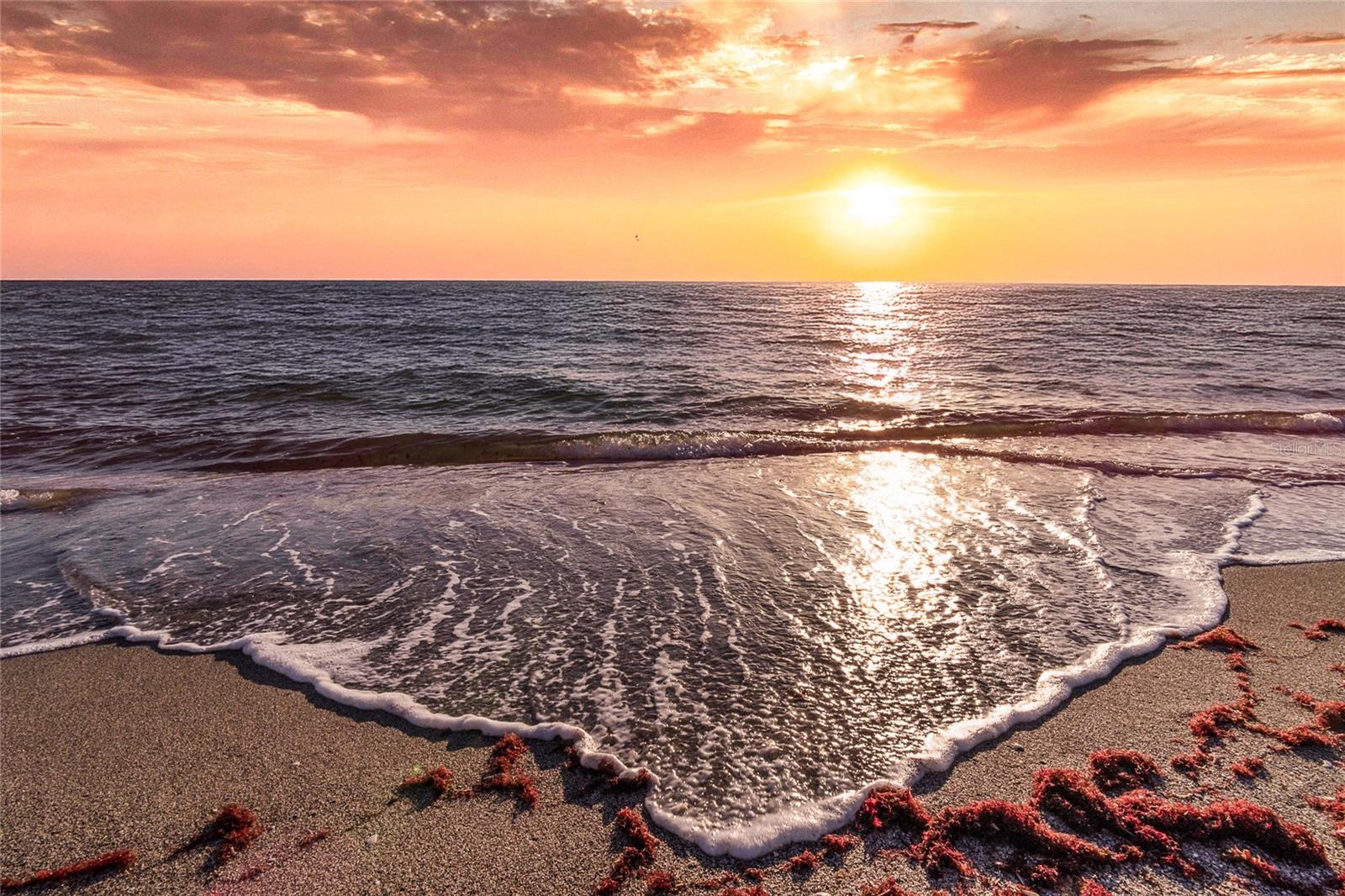 MANASOTA SHORES - Land