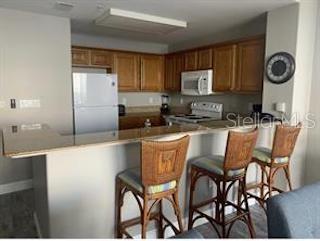 13427 BLUE HERON BEACH DRIVE 501