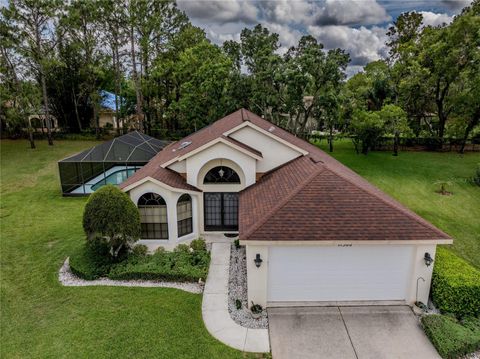 11368 COPLEY COURT SPRING HILL FL 34609