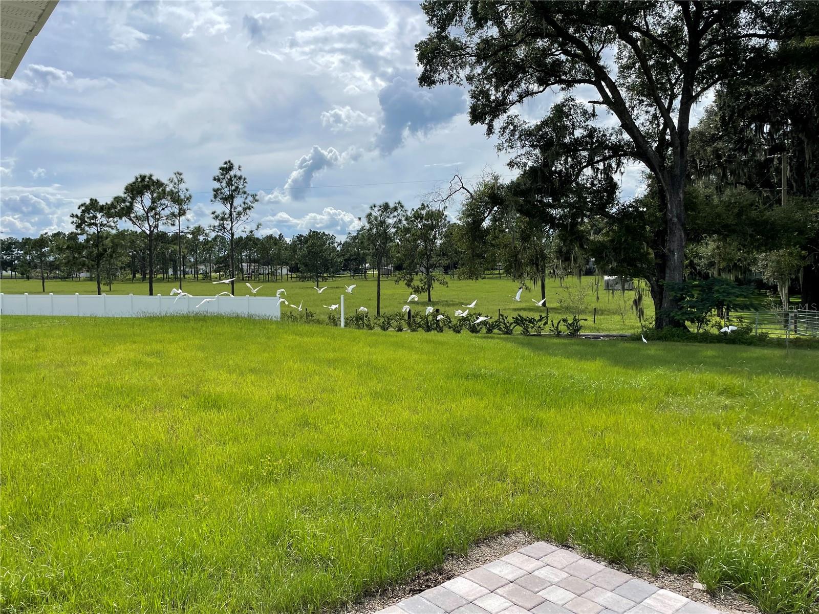 SUWANNEE LAKESIDE PH 1 - Residential Lease