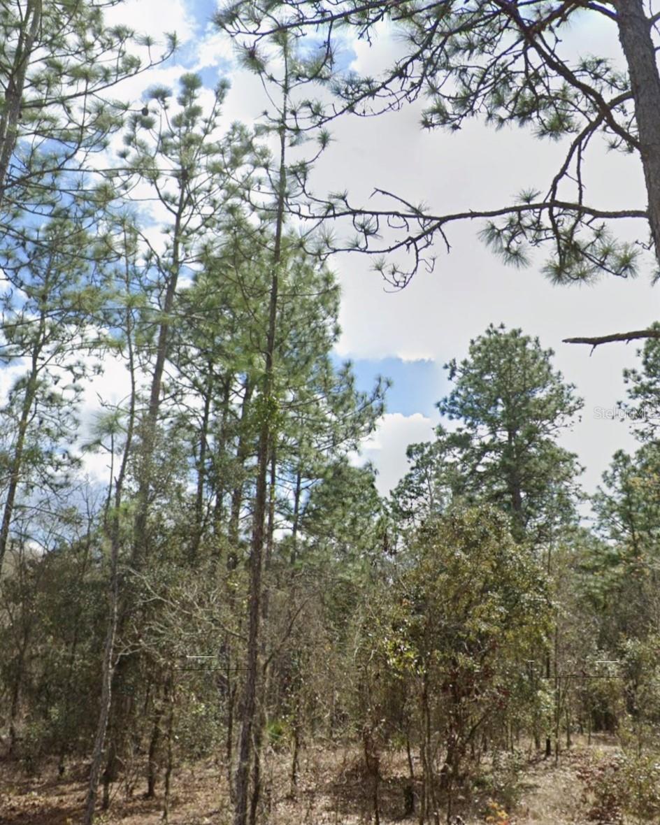 ROLLING HILLS 01 - Land