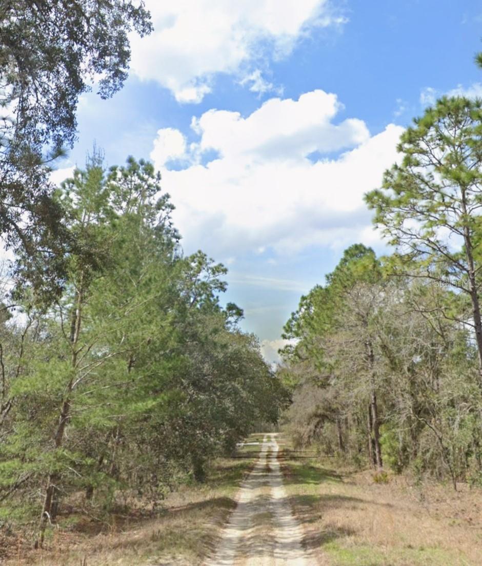 A must see 3.16 Acre beautiful wooded lot in Rolling Hills, escape the hustle and bustle and enjoy your own piece of paradise in a natural peaceful setting. According to the county, property will require the installation of a well and septic system, electric is near-by. Besides your dream home, zoning allows for the construction of an additional garage, workshop or guest home. No HOA and not in a flood zone. Near the largest equestrian complex in the United States which is a world-class, multi-indoor and outdoor arena facility offering state-of-the-art amenities. Easy access to medical centers, shopping, schools & restaurants. Enjoy Dunnellon’s beautiful Rainbow Springs State Park offering snorkeling, tubing and Kayaking. If saltwater fishing is on your mind, it is less than a 45 minute drive to the Gulf of Mexico.
