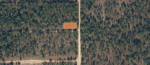 PARK AVENUE 78 INTERLACHEN FL 32148