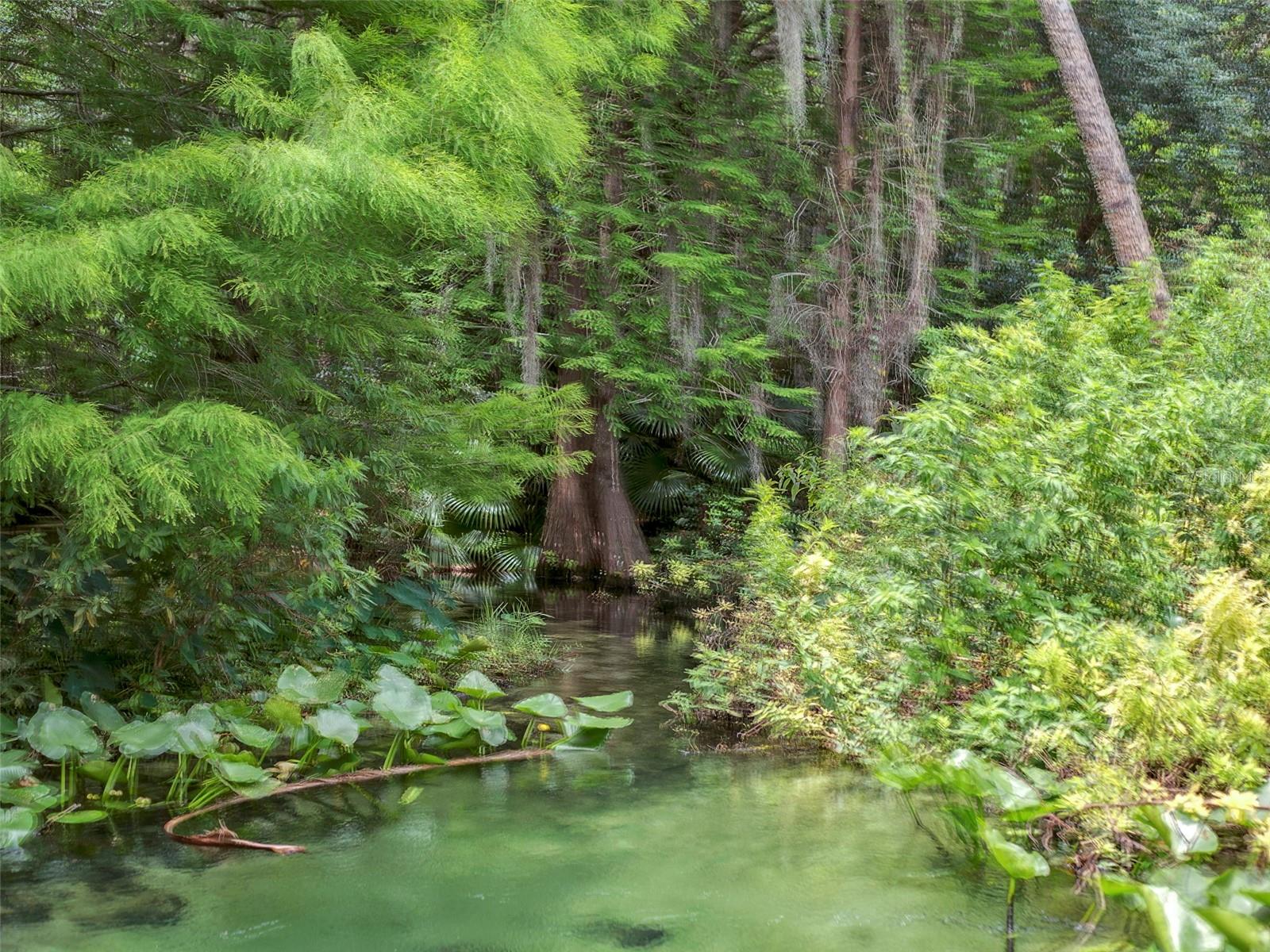 THE SPRINGS GLENWOOD VILLAGE SEC 2 - Residential