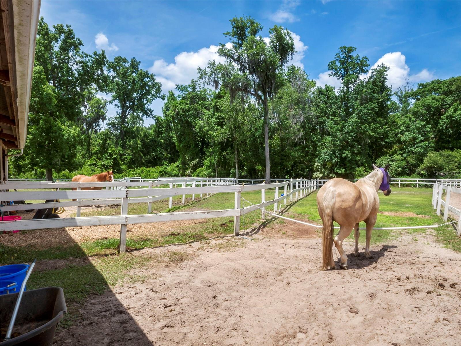 THE SPRINGS GLENWOOD VILLAGE SEC 2 - Residential