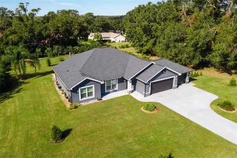 A home in LADY LAKE