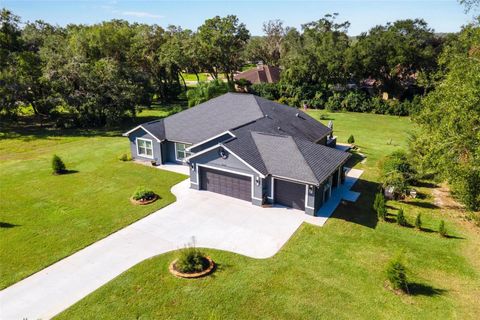 A home in LADY LAKE