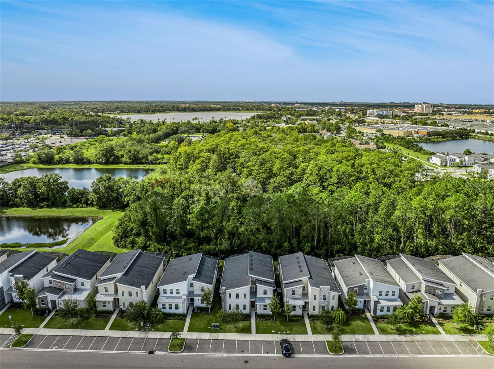 COVE AT STOREY LAKE II - Residential
