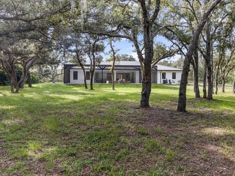 Tiny photo for 3937 W Shadow Creek Loop, Lecanto, FL 34461 (MLS # OM707150)
