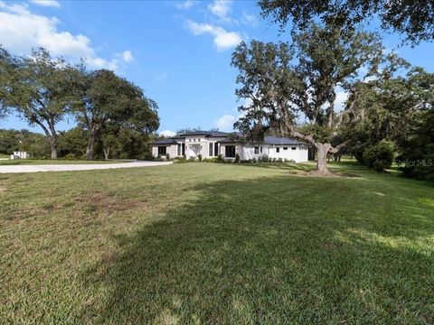 Tiny photo for 3937 W Shadow Creek Loop, Lecanto, FL 34461 (MLS # OM707150)