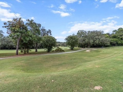 Tiny photo for 3937 W Shadow Creek Loop, Lecanto, FL 34461 (MLS # OM707150)