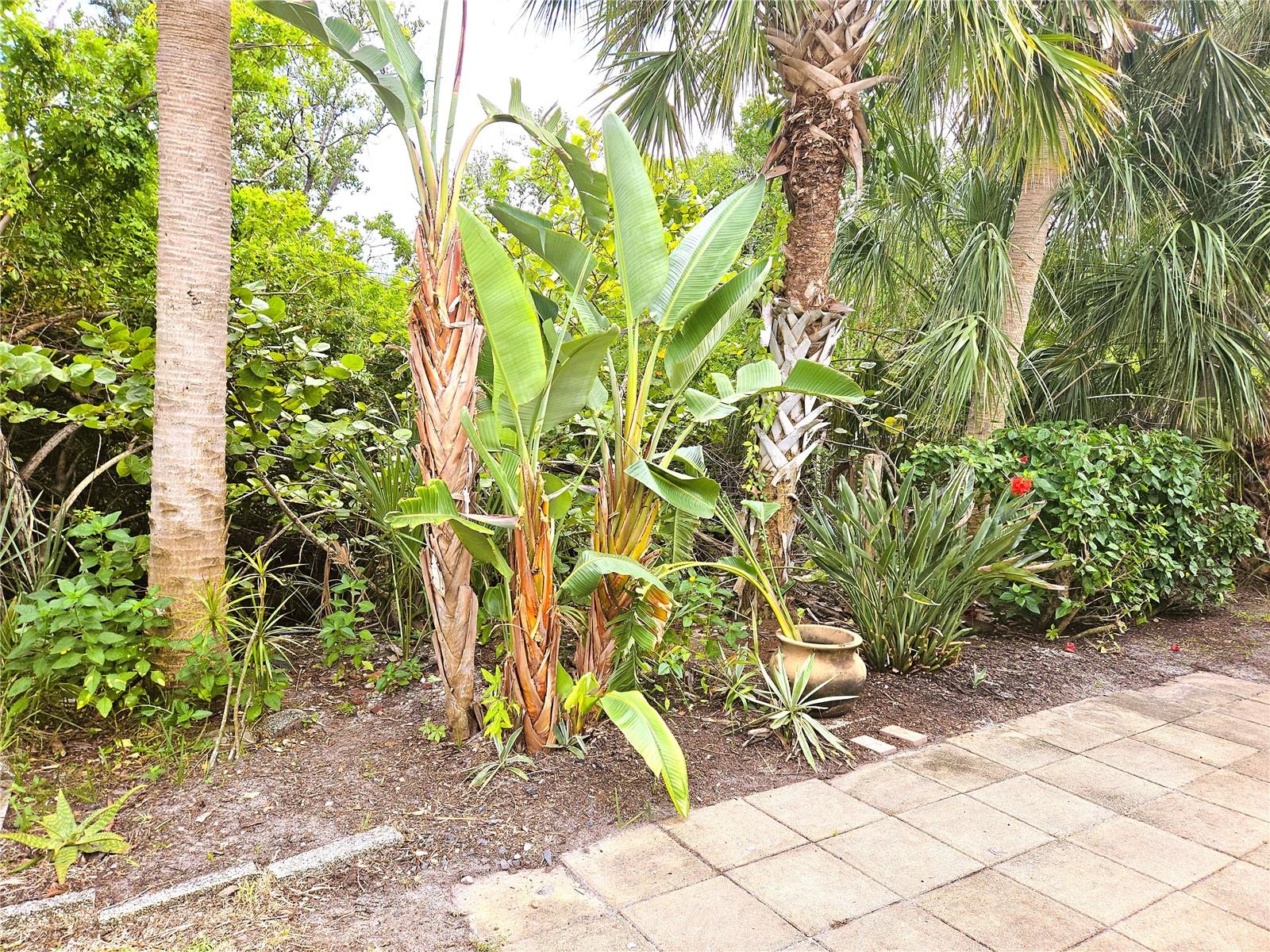 730 SPANISH DRIVE S 99