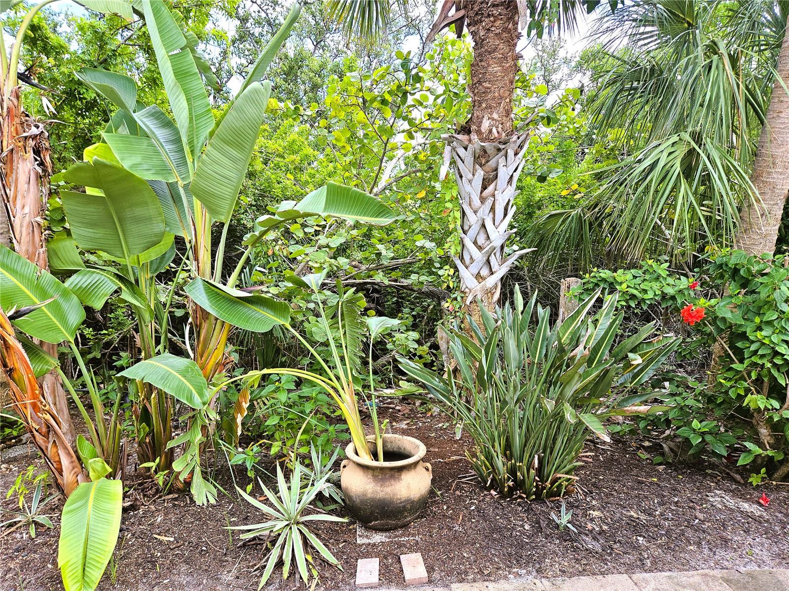 730 SPANISH DRIVE S 99