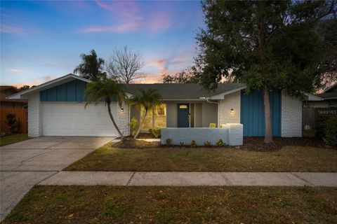 3442 GLOSSY IBIS COURT PALM HARBOR FL 34683