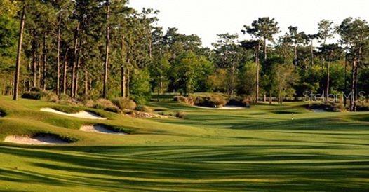 VICTORIA GARDENS PH 6 REP - Residential