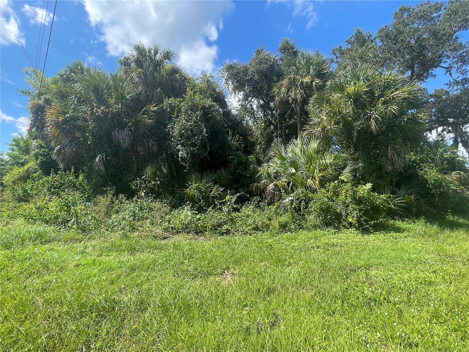 PORT CHARLOTTE SUB 21 - Land