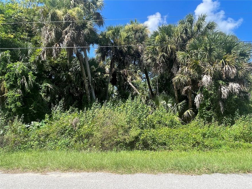 City of North Port Buildable CORNER lot in a Rapidly Growing & expanding community of NEWER homes. Not in a Flood Zone and No HOA or CDD fees. The City of North Port is nestled between Fort Myers to the South and Sarasota to the North. Located approx. 8 miles from North Port's Cocoplum Village Shops and about 5 miles from the Port Charlotte Town Center Mall for shopping, restaurants & movie theater. North Port has an Aquatic Center, Parks, Recreation, Blueways & Trails. Take in a Spring Training game at the Charlotte Sports Park (Tampa Bay Rays) and/or Cool Today Park (Atlanta Braves). Build your Dream Home here and start enjoying Gulf Beaches, Barrier Islands, Boating, World Class Fishing, Kayaking, Golfing, Pickleball, Festivals, Farmers Markets and Beautiful Sunsets.