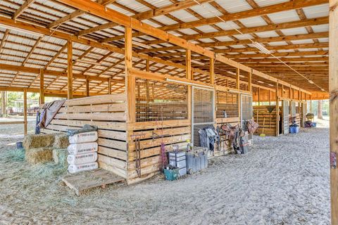 A home in OCALA