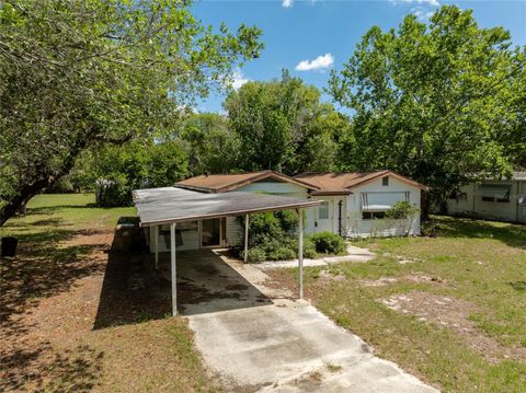 29505 NORTH BOULEVARD PAISLEY FL 32767